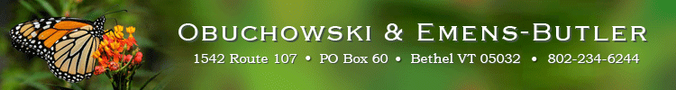 Vermont Legal Firm | Debt Relief | Bankruptcy | Obuchowski & Emens-Butler